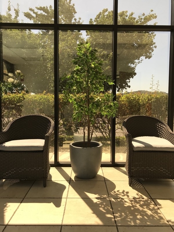Karola Concrete Pot Planter