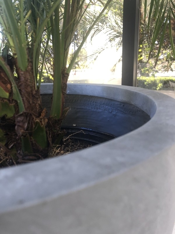 Karola Concrete Pot Planter