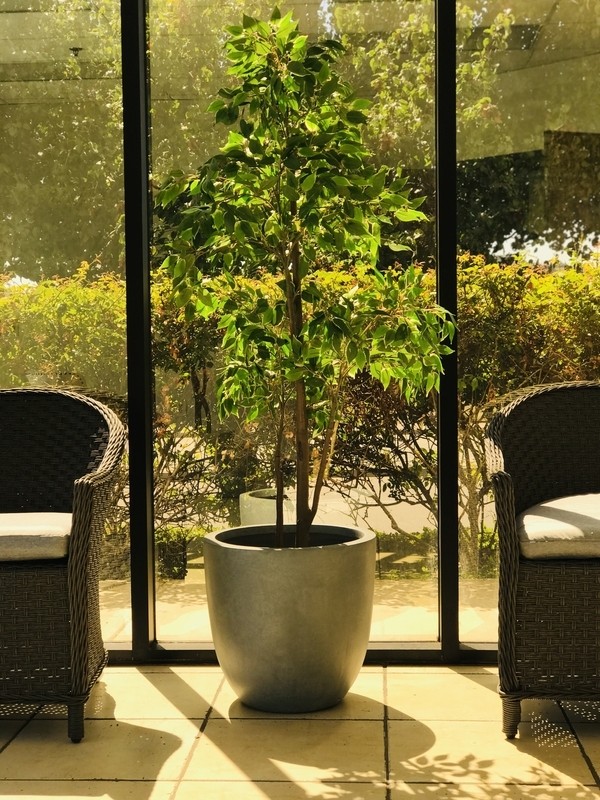 Karola Concrete Pot Planter