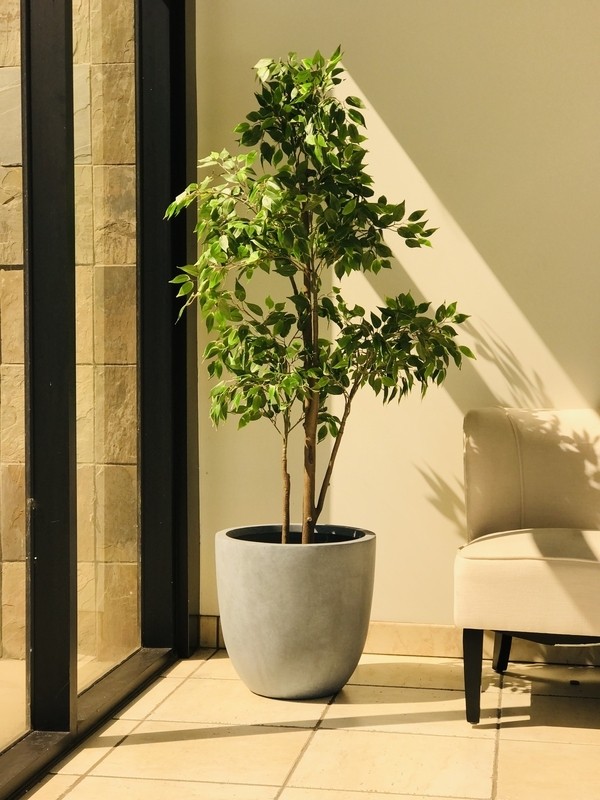 Karola Concrete Pot Planter