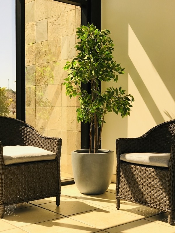 Karola Concrete Pot Planter
