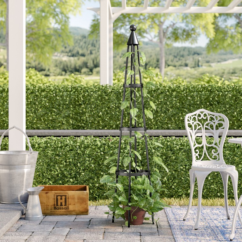 Mckayla 61'' H x 13'' W Iron Obelisk Trellis