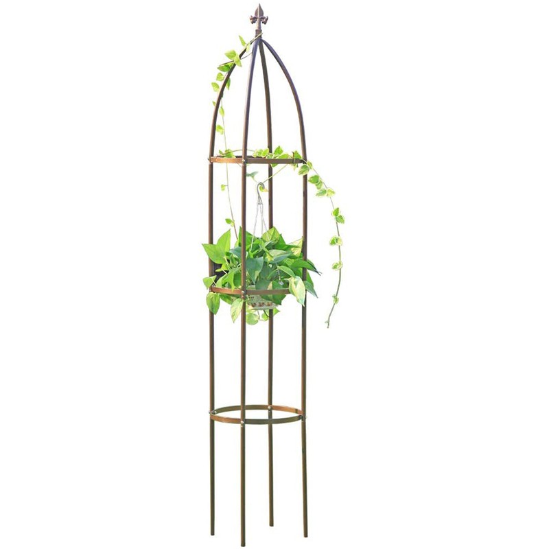 Neha 19.5'' H x 13.2'' W Metal Obelisk Trellis Extender