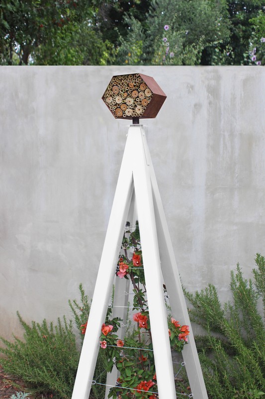 Otani Steel Obelisk Trellis