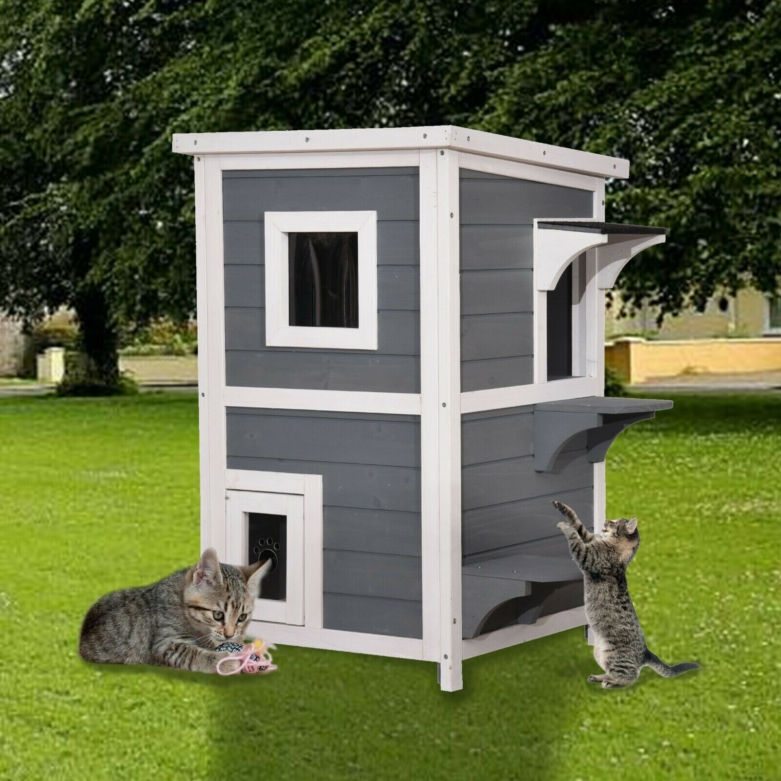 Outdoor Cat Playpen and House