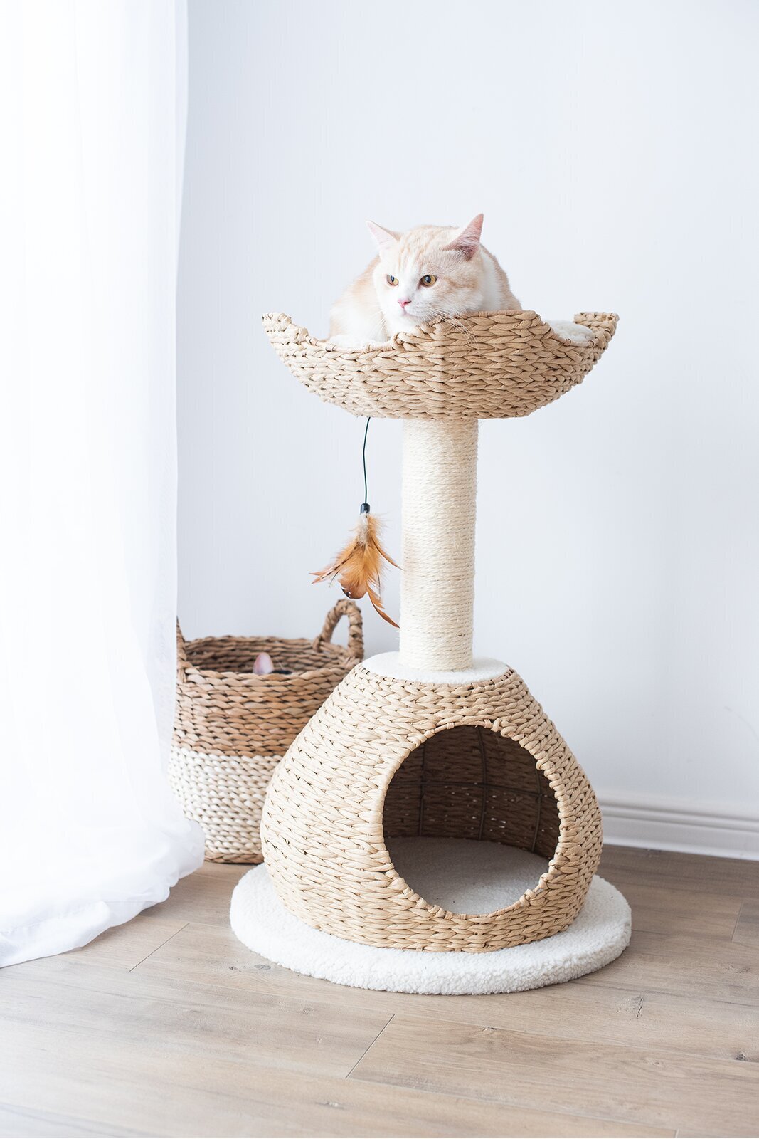 Paper Rope Condo and Fat Cat Tree