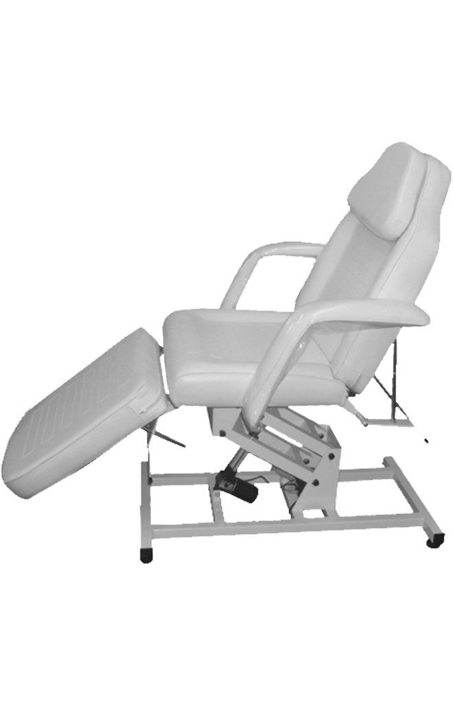 Powered Medical Reclining Sleeper Chair