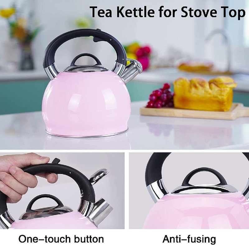 Stainless Steel Stovetop Tea Kettle