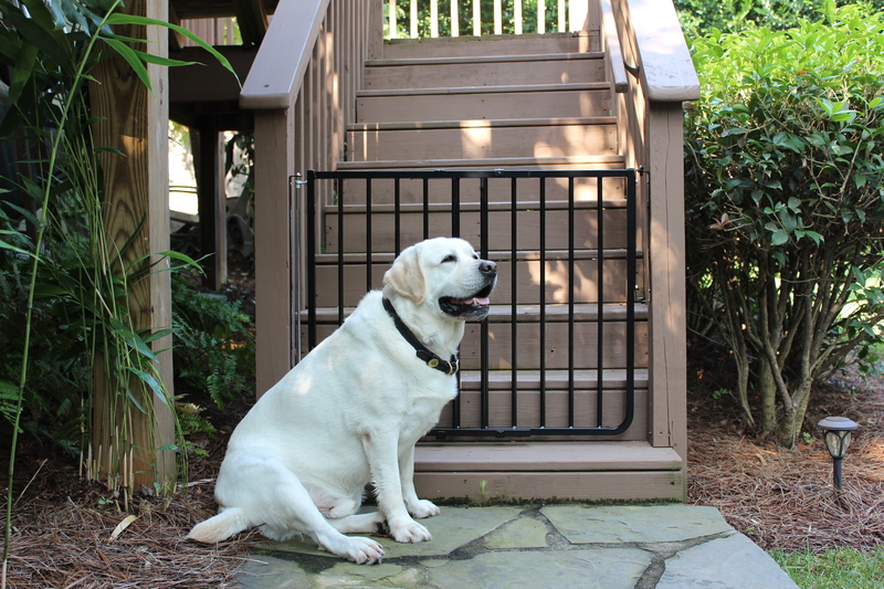 outdoor dog gate for deck