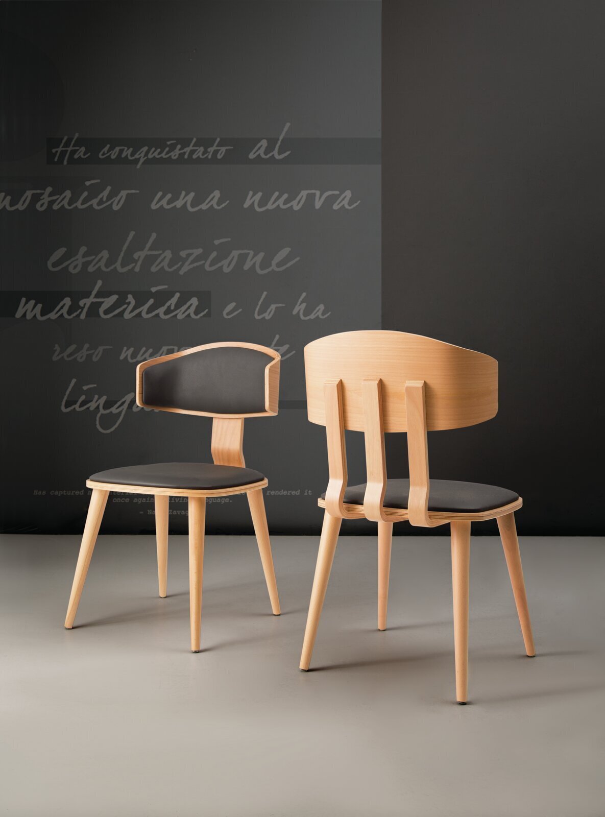 Striking Modern Dining Chair Design