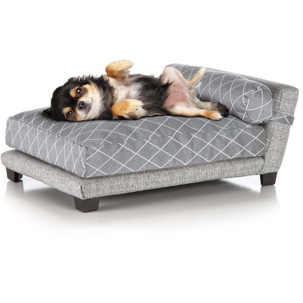 Upholstered Dog Beds that Look Like Real Beds