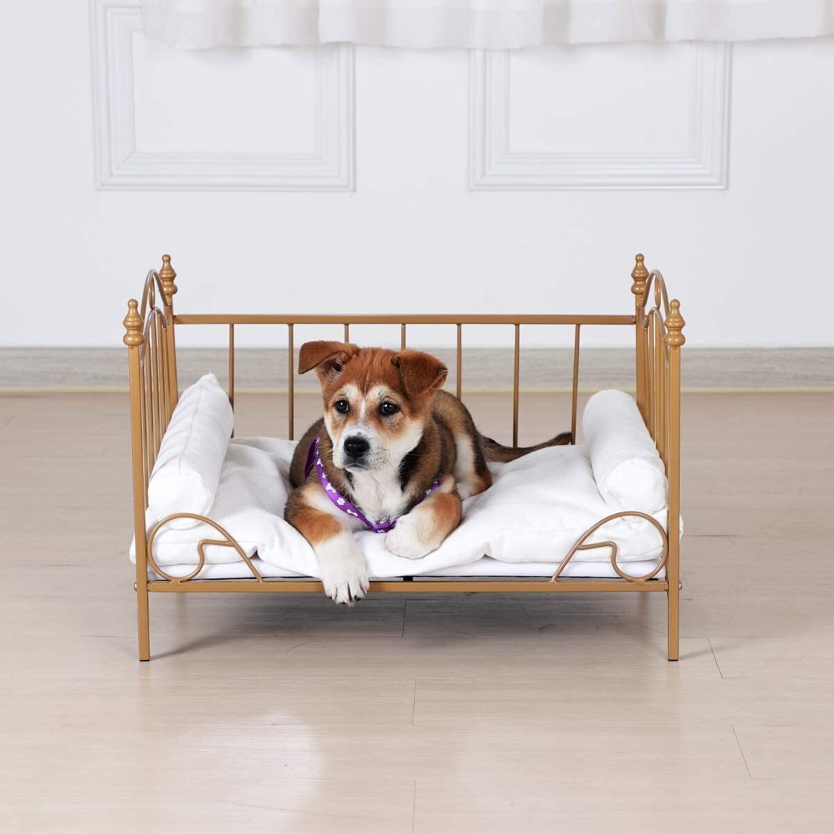 Wrought Iron Framed Human Bed for Dogs