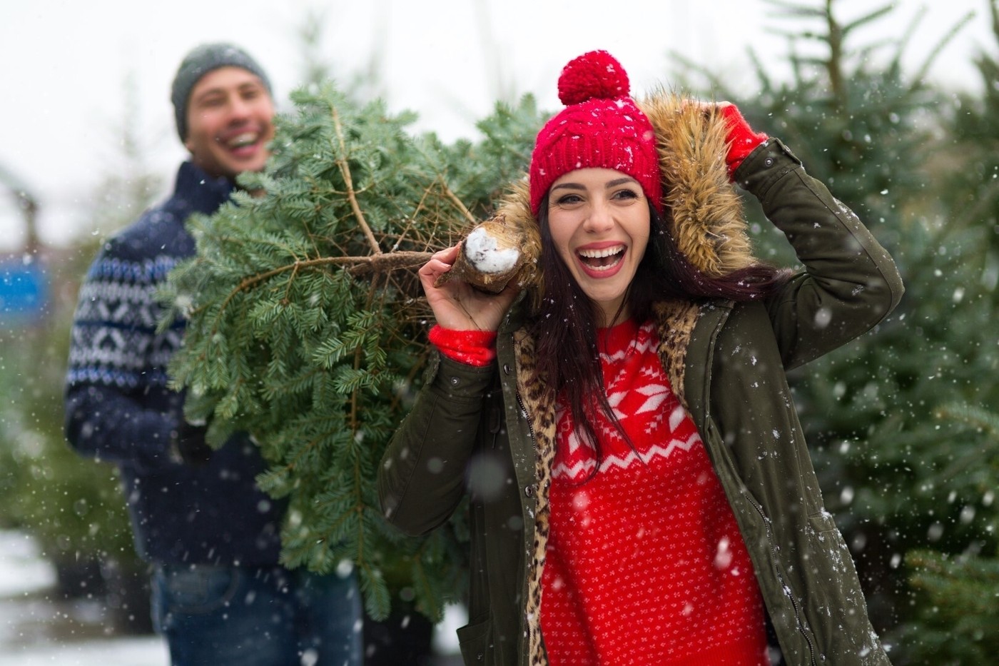 American store christmas tradition