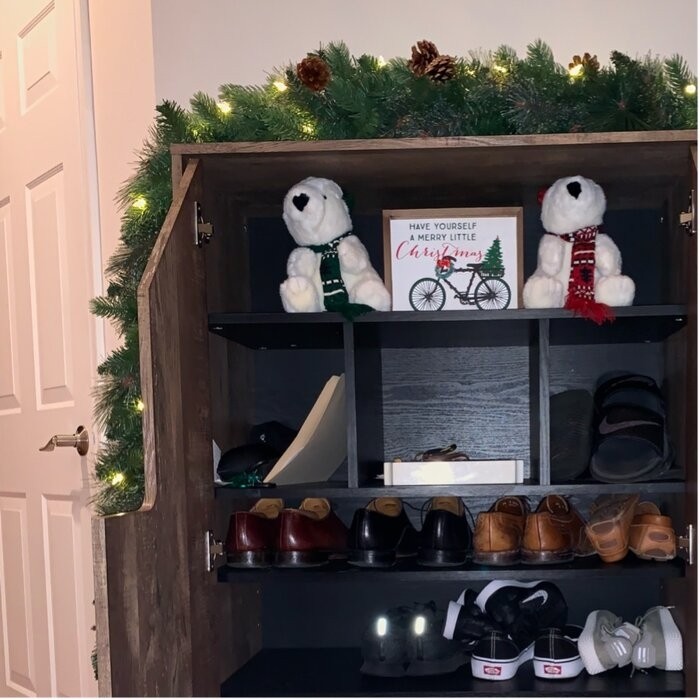 18 Pair Shoe Storage Cabinet