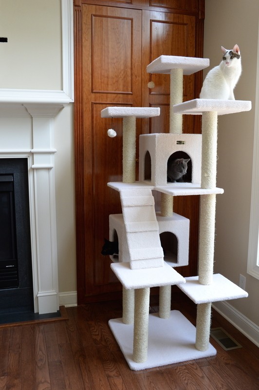 77" Zuckerman Classic Real Wood Jackson Galaxy Approved Cat Tree