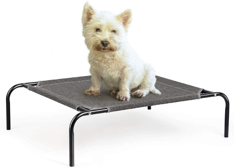 Outdoor Dog Furniture Ideas On Foter