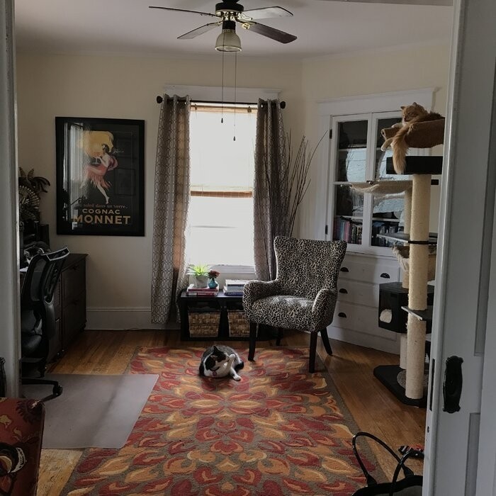 Arlett 28'' Wide Wingback Chair