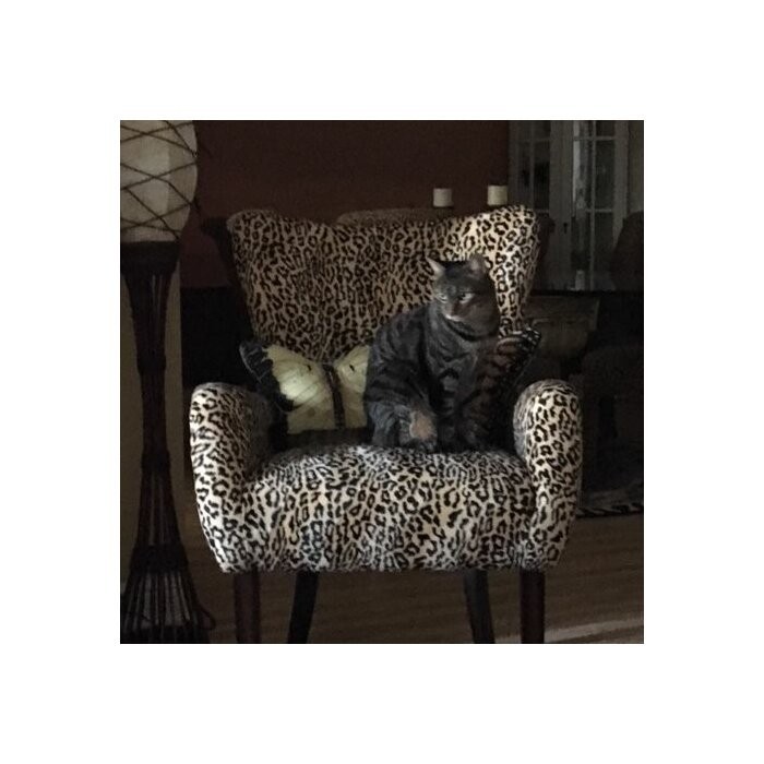 Arlett 28'' Wide Wingback Chair