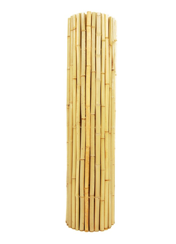 Bamboo Privacy Screen