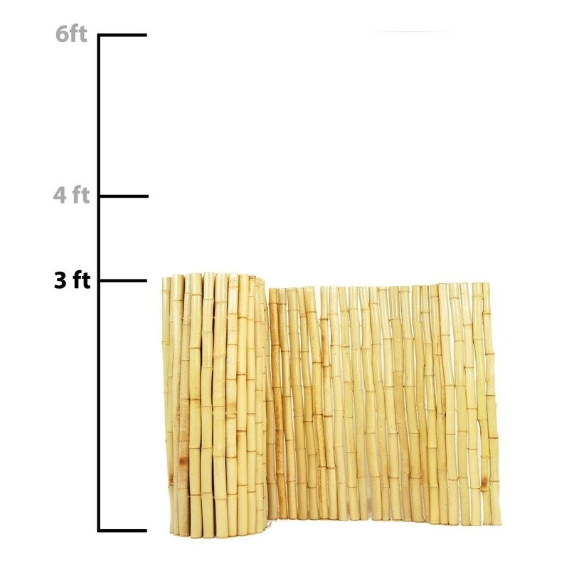 Bamboo Privacy Screen