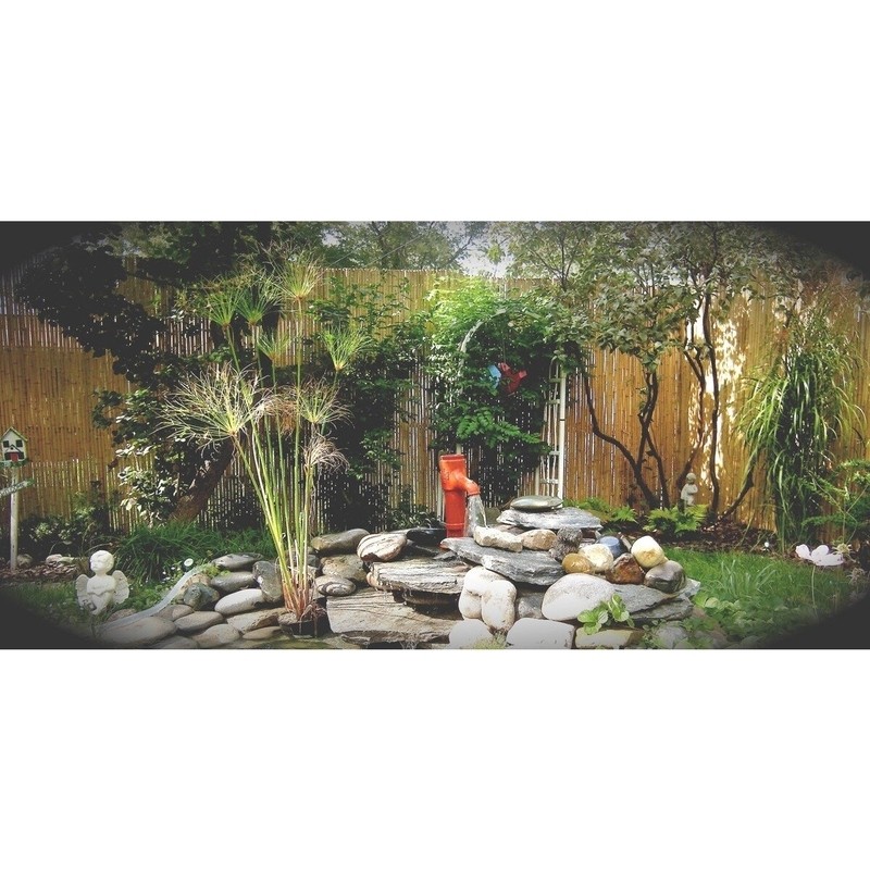 Bamboo Privacy Screen