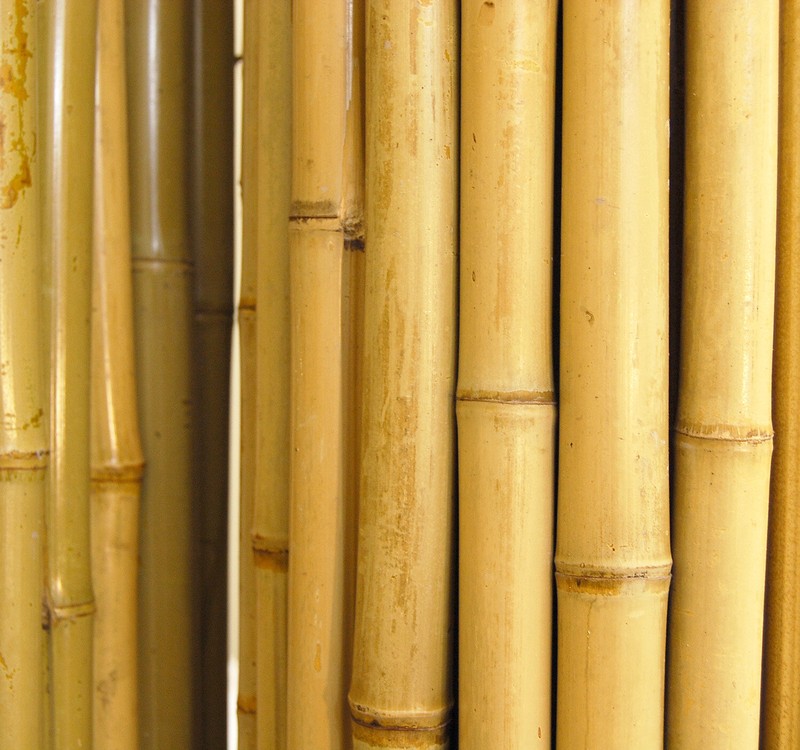 Bamboo Privacy Screen