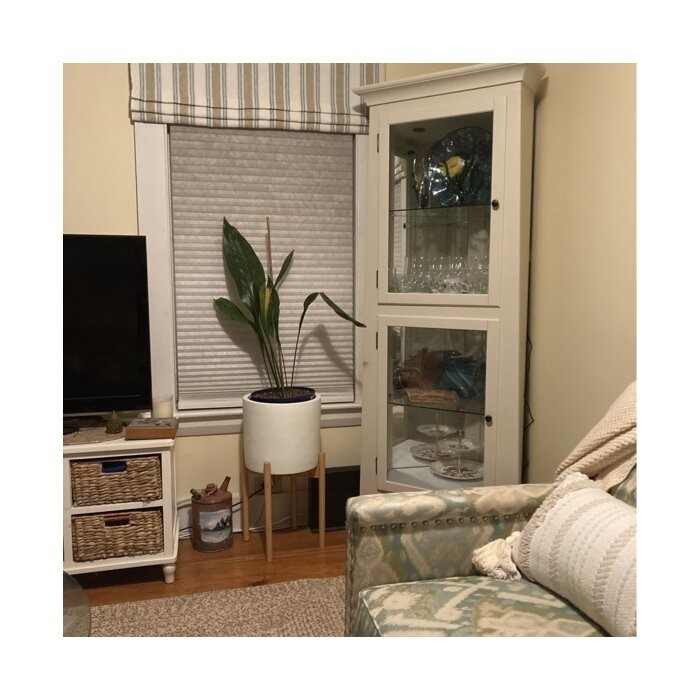 Bankston 27.25'' Wide Mirrored Back Display Stand with Lighting