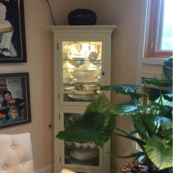 Bankston 27.25'' Wide Mirrored Back Display Stand with Lighting