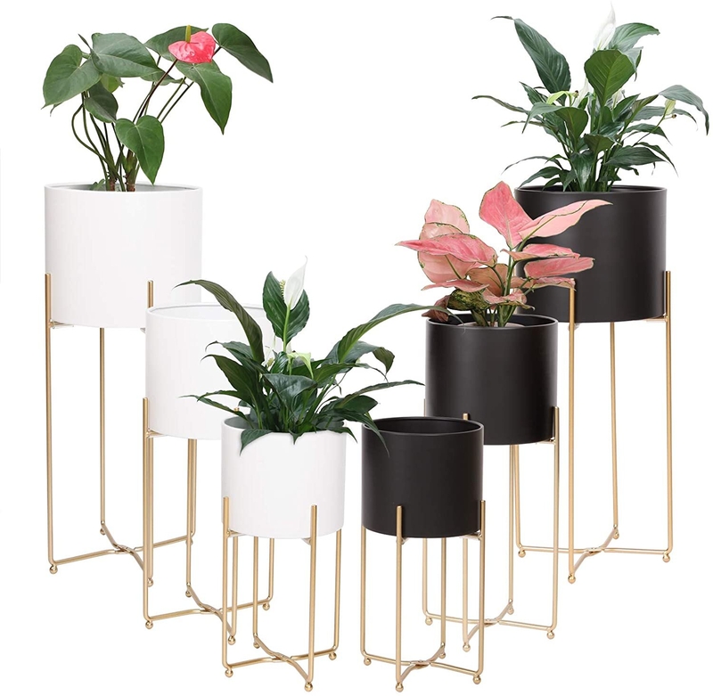 Plant Stands Indoor - Ideas on Foter