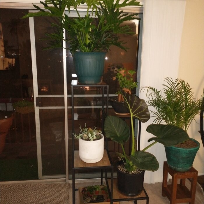 Bryn Square Multi-Tiered Plant Stand