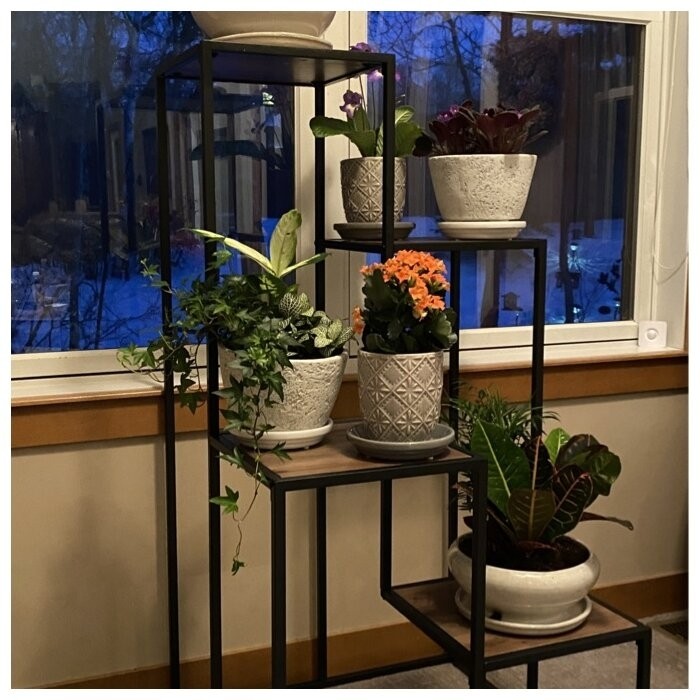 Bryn Square Multi-Tiered Plant Stand