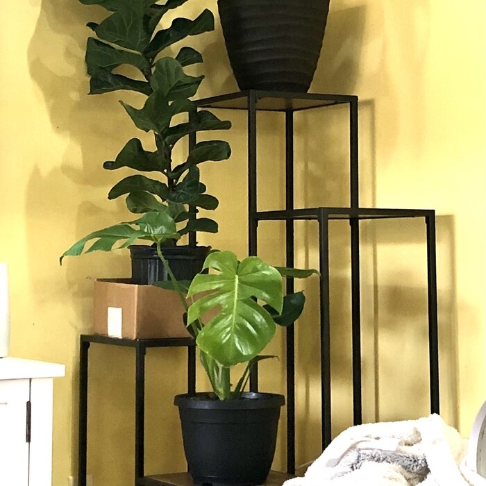 Indoor Tiered Plant Stand - Ideas on Foter