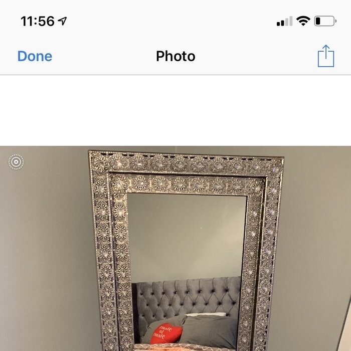 Cardy Traditional/Rustic Full Length Mirror