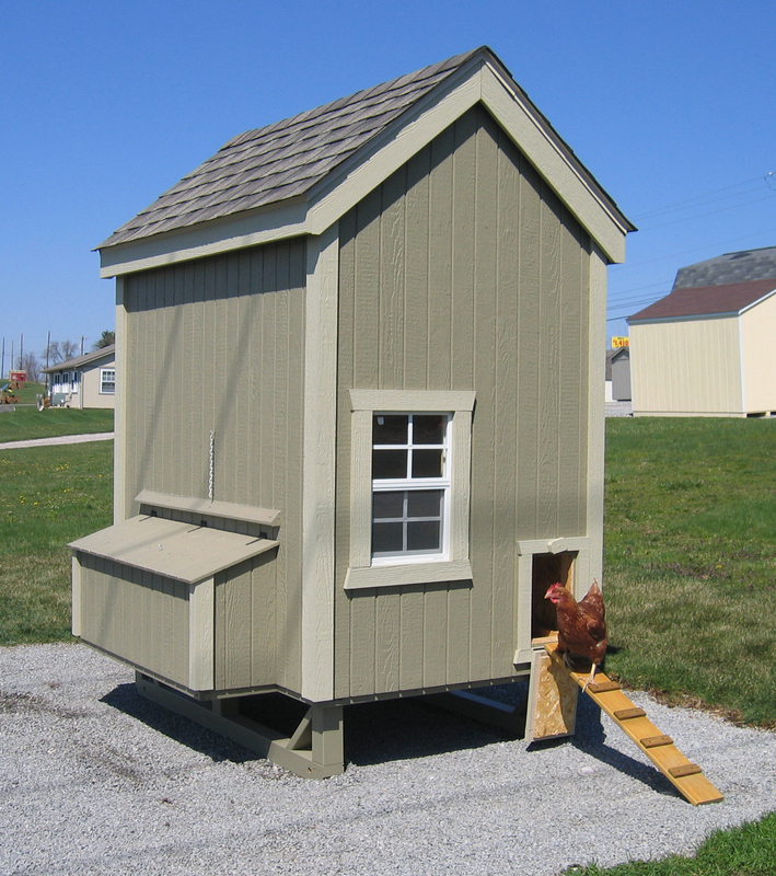 Daria Walk In Chicken Coop with Nesting Box For Up To 8 Chickens