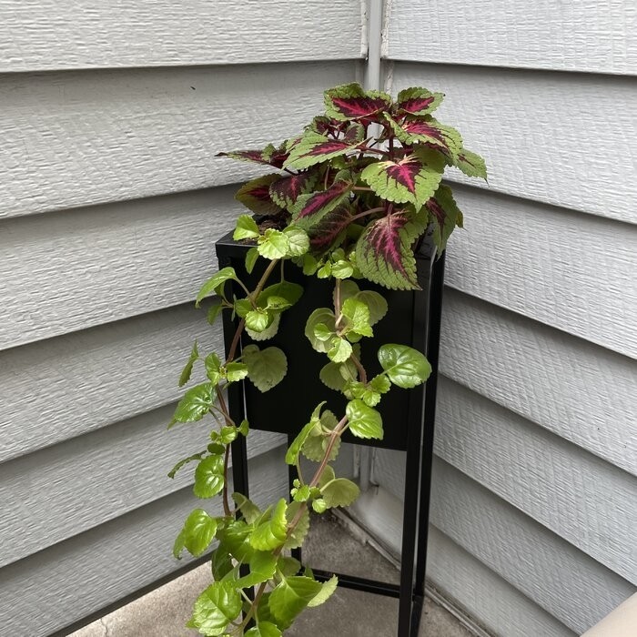 Dekker Metal Elevated Planter
