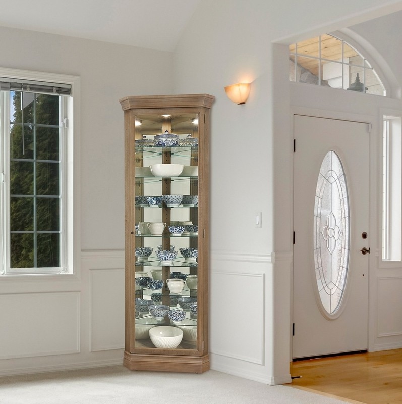 Delorenzo 28'' Wide Solid Wood Mirrored Back Curio Cabinet with Lighting