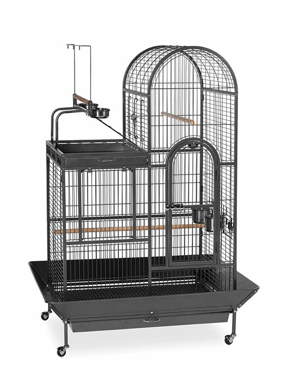 Eli 66'' Steel Play Top Floor Bird Cage with Wheels