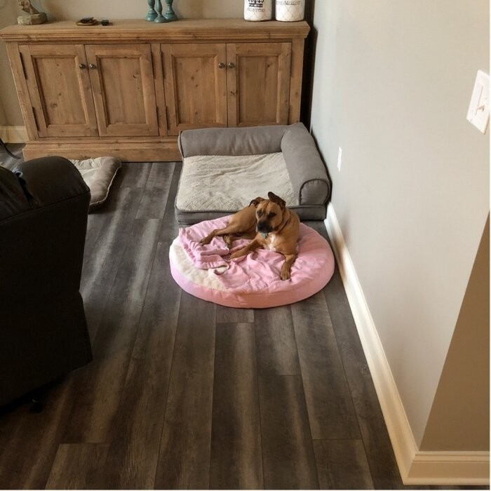 Elnora Hooded Dog Bed