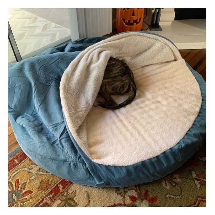 Elnora Hooded Dog Bed