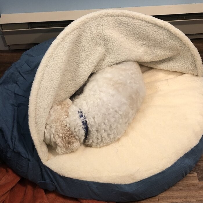 Elnora Hooded Dog Bed