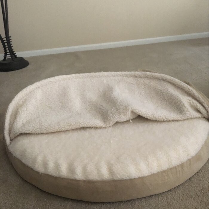 Elnora Hooded Dog Bed