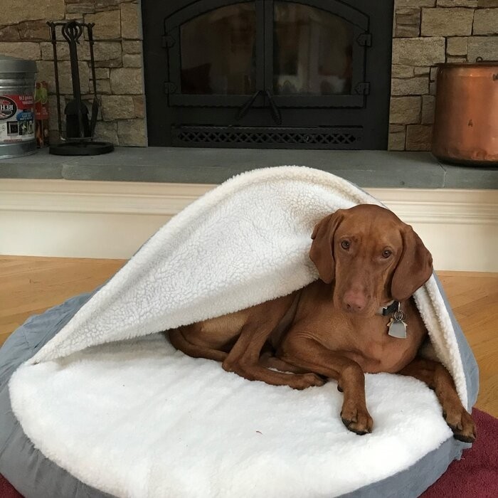 Elnora Hooded Dog Bed