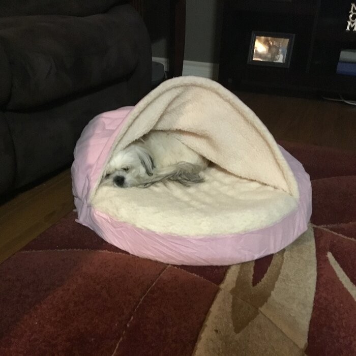 Elnora Hooded Dog Bed
