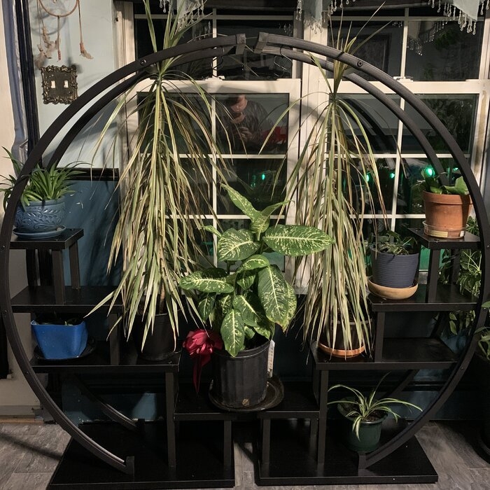Evorn Round Etagere Plant Stand