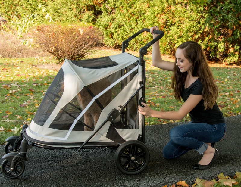 Expedition No Zip Standard Stroller