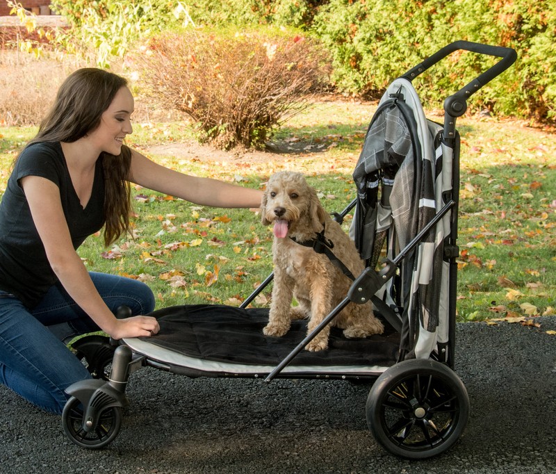Expedition No Zip Standard Stroller