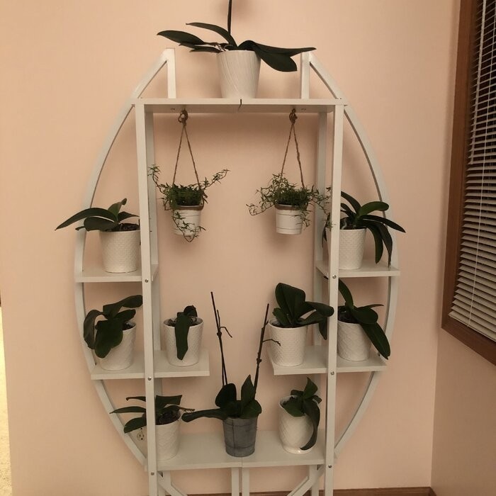 Fatos Rectangular Multi-Tiered Plant Stand