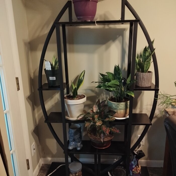 Fatos Rectangular Multi-Tiered Plant Stand