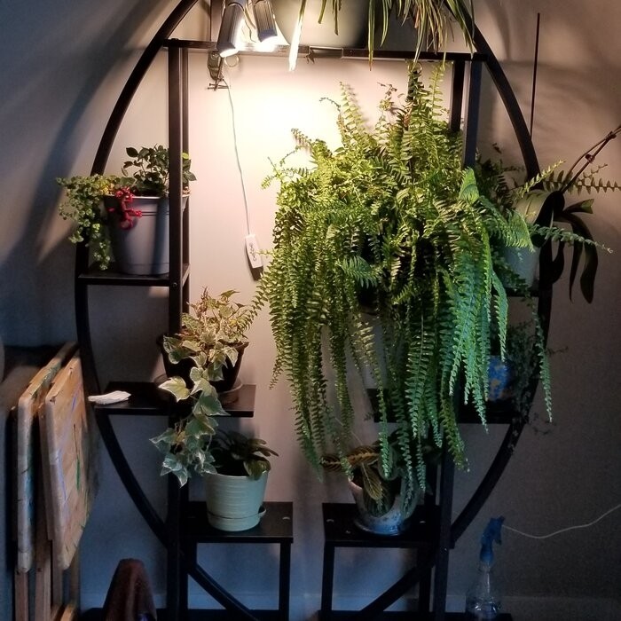 Fatos Rectangular Multi-Tiered Plant Stand
