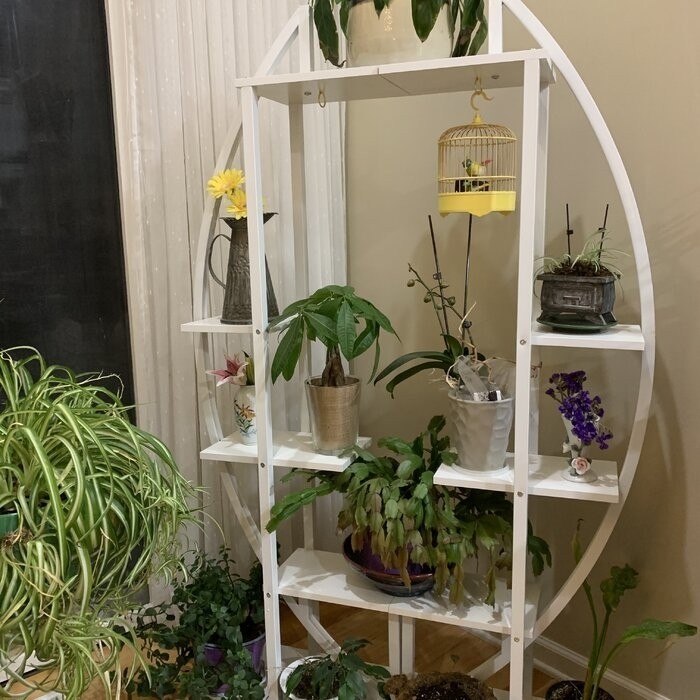 Fatos Rectangular Multi-Tiered Plant Stand